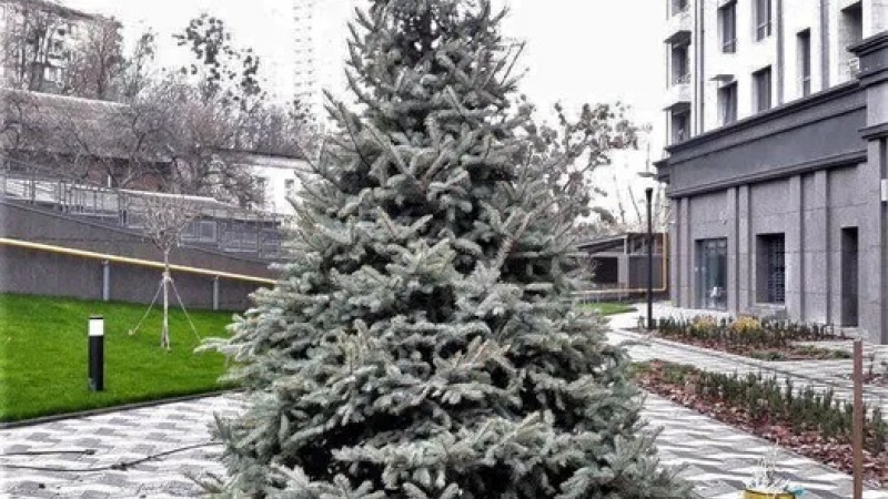 $89000 / Новопечерский переулок 5, Киев, Киев / Продажа / Квартира / 48 кв.м. / 1 комнат