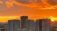 $100000 / Осокорская, Киев, Киев / Продажа / Квартира / 79 кв.м. / 3 комнат